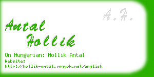 antal hollik business card